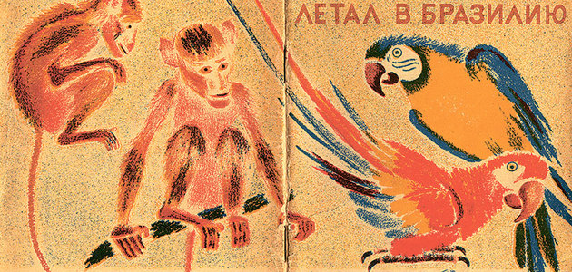 Reise_nach_brasilien_buchcover_russ._originalausgabe