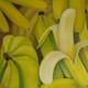 Bananen, 60 x 80 cm, Öl auf Leinwand, 2005 - verkauft