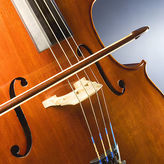 Violoncello (Detail)