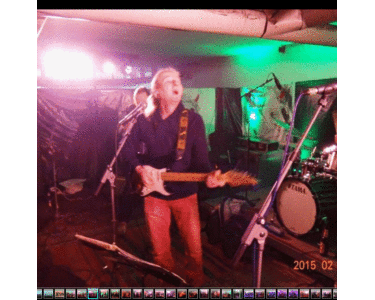 Apoldaer Bluesfasching 2015