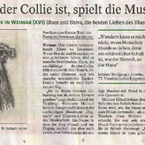 Der Blueser und sein Hund