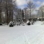 Winterspaziergang im Kurwald Bad Lippspringe 2008