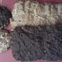Weihnachtsbäckerei 2011: Lebkuchen
