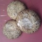 Weihnachtsbäckerei 2011: Haselnusstaler