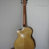 Henning Doderer Archtop