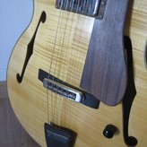 Henning Doderer Archtop