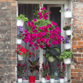 Ein Fenster 