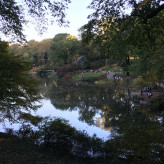 Central Park am Nachmittag