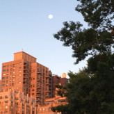 Beim Joggen im Central Park
