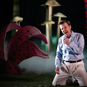 Als Figaro in "Le nozze di Figaro"-Foto: Christian Kleiner