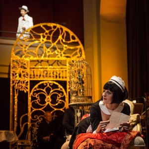 "Die Fledermaus" (C) Lisa Stern