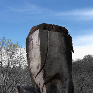 U cry‘n    (2022)     cherrywood  l  digital photomontage