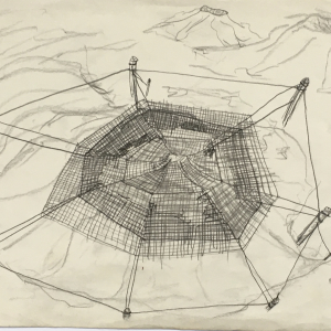 Power of nature (1973)   pencil  l  paper l  23 x 30 cm