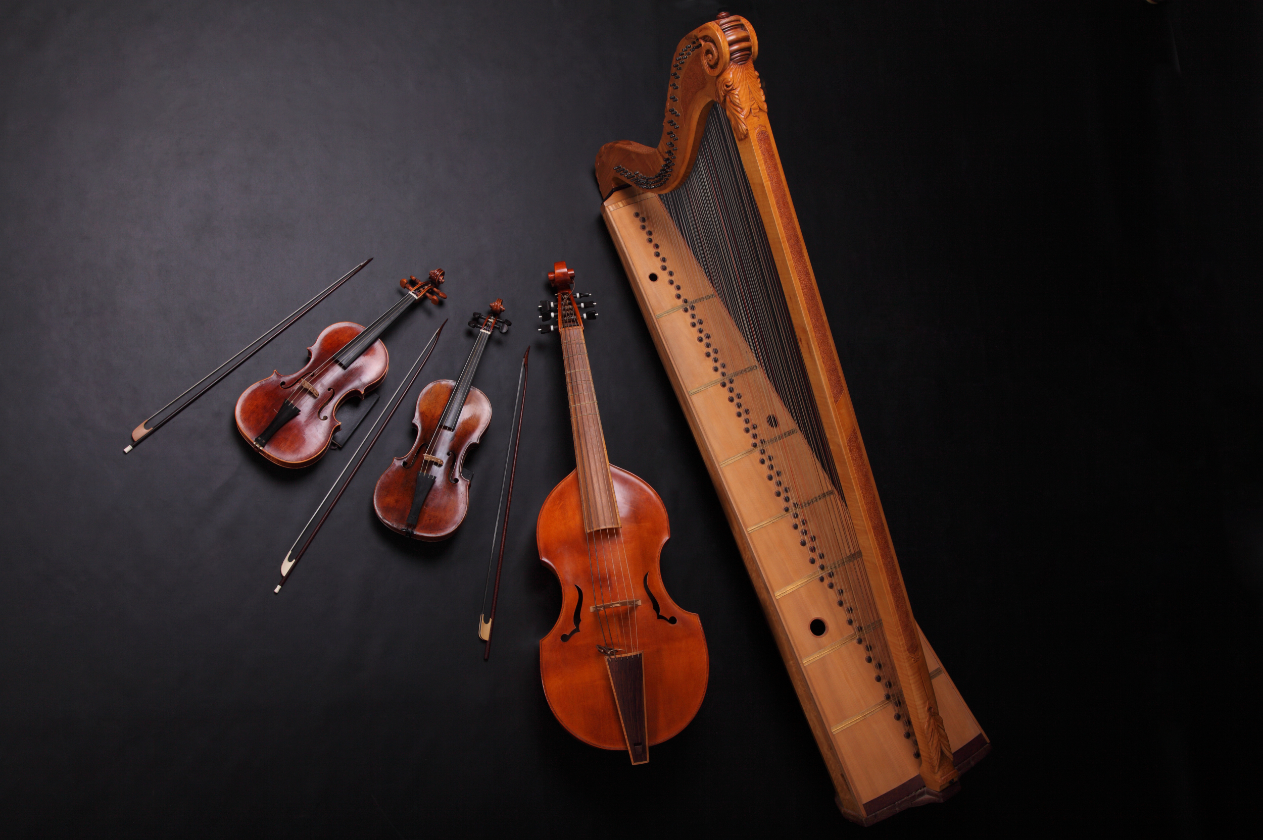 gabinetto armonico Bremen Anna Terterjan Franciska Hajdu Laura Fierro David Budai Hélène Nassif