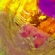 11 Farben Symphonie