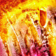 48 Farben Rausch