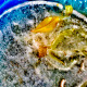 165 Eisstern und Blatt