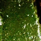 177 Der Fährmann 