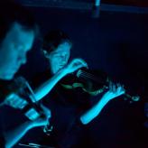 8. Placebo Consulting