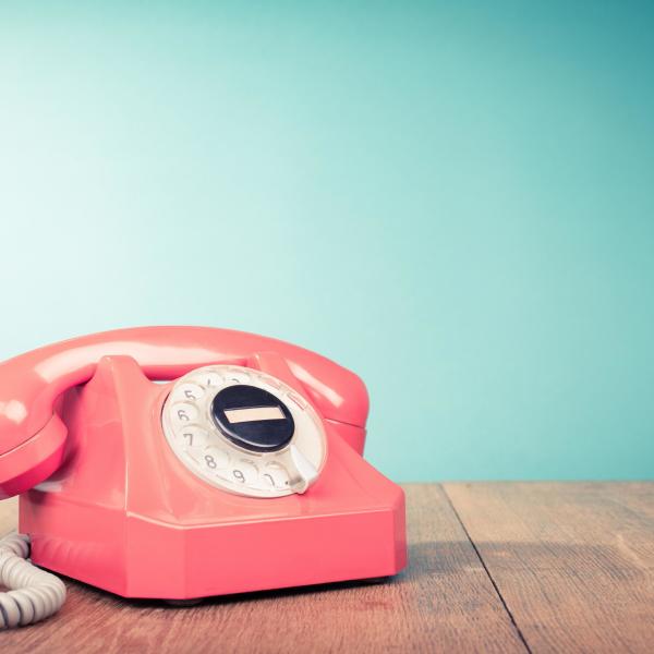 Kontakt Alexandra Ziegler-Liebst