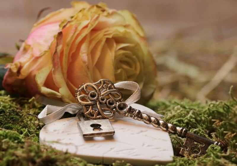 Rose liegt hinter einem Holzherz, worauf ein alter Schlüssel und ein Schloss liegt