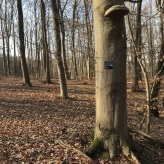  Schlosswald-Ausstellung © CarolaSchaal