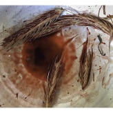 2024-08-05 (solange ich Menstruationsblut produziere, arbeite ich damit) Serie Habstetten bei Bern / Schweiz - techn. Support Richard Stöhr