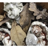 2024-12-02 (solange ich Menstruationsblut produziere, arbeite ich damit) Serie Georgen-Parochial-Friedhof III - techn. Support Richard Stöhr