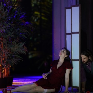 As Susanna in W. A. Mozart´s „Le nozze di Figaro“ (Figaro - K. Krimmel, Hessisches Staatstheater Wiesbaden). Photo by Karl and Monika Forster.