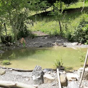der Weiher