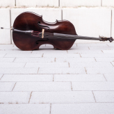 Bild von Manfred Roser