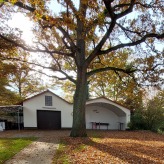 Ansicht aus der Hintertür Richtung Garten im Herbst