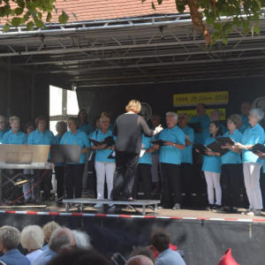 Chorgemeinschaft Heldenbergen 