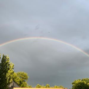 Regenbogen auf dem Heimweg